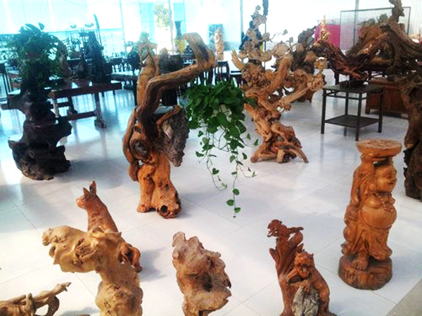樹(shù)化玉04